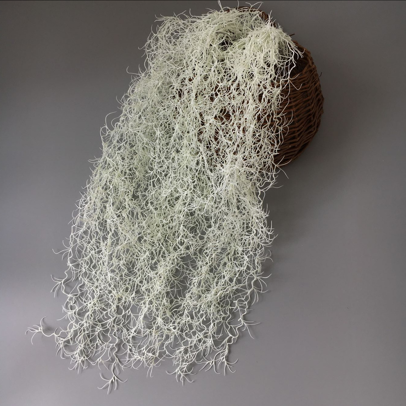 55B3D00F58E6ABC6E7E5CBAA44E9F5