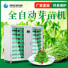豆苗菜機 豆苗菜機批發 促銷價格 產地貨源 阿里巴巴