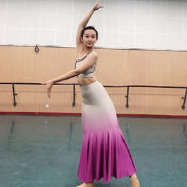 成都厂家定制傣族舞女款民族舞蹈服演出训练服练功服可来图定制