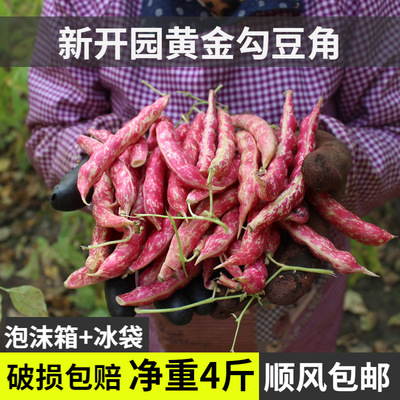 Net weight 4 Heilongjiang Northeast Huangjingou Beans fresh Season specialty Beans Gogo