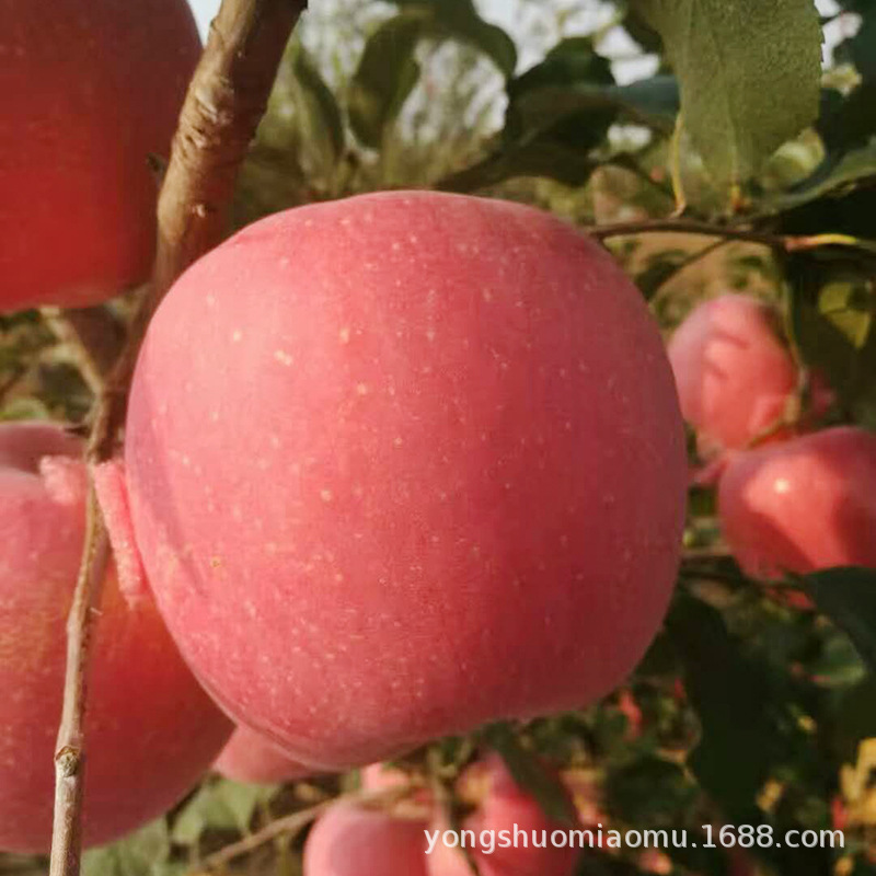 微信图片_20180619154558