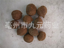 ���X�ӹ������ �X�� ���� ���� ë�������� ���l