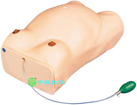 FW1型 高级孕妇检查模型|妇婴模型|医学模型|医学模型实验室装备