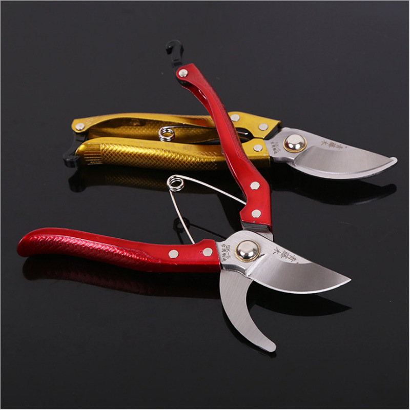 台湾青藤木果枝剪 修枝剪 园林剪刀 防滑耐磨手柄果树树枝剪切工