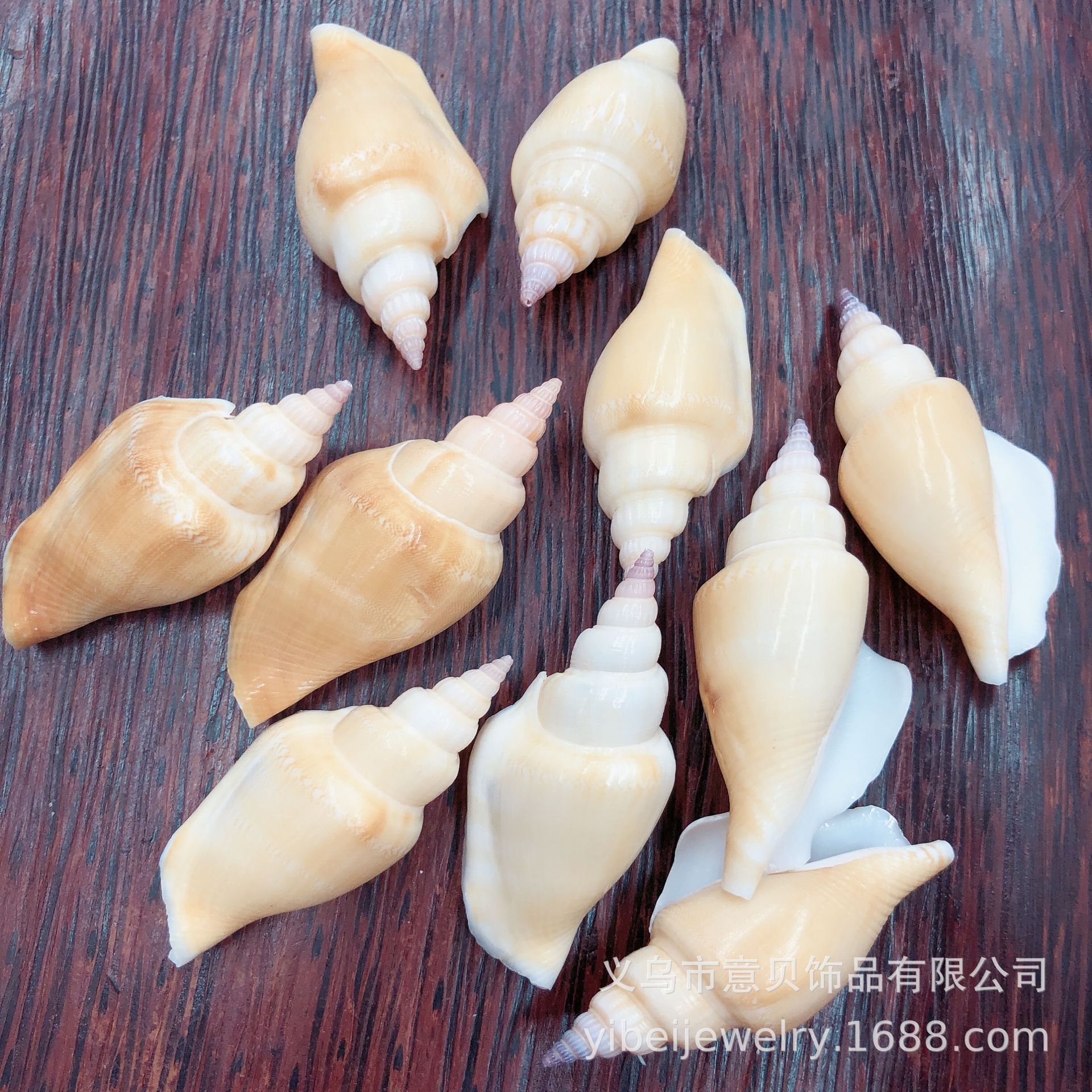 747B376571E2EDC04DDB2AF405CEFB