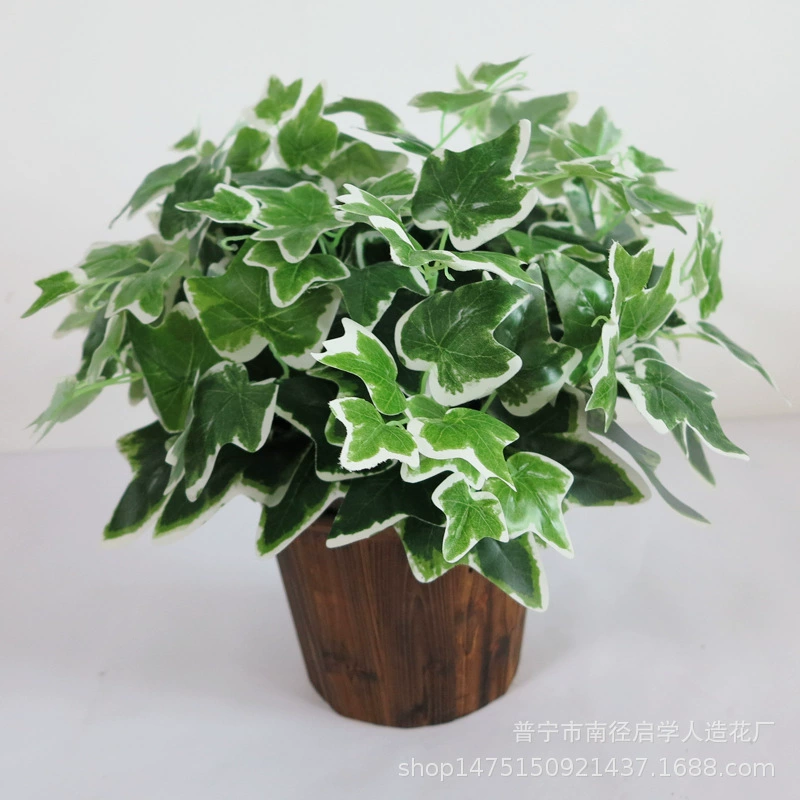 Новые продукты на рынке с белыми краями листья сладкого картофеля материал стенок растений листья сладкого картофеля имитация лианы листья вечнозеленые листья оптом