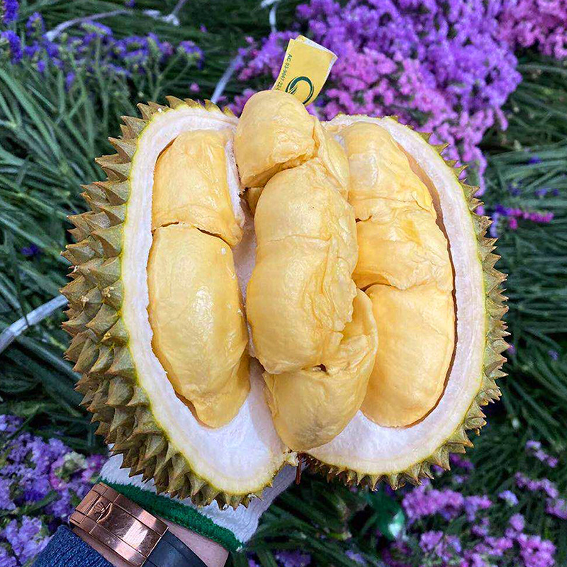 新鲜甲仑榴莲味美香甜肉质绵长非金枕榴莲|ru