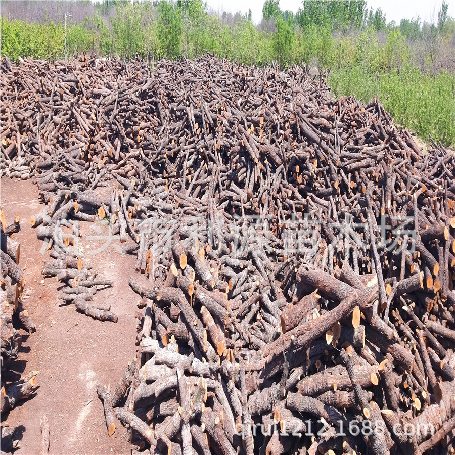 常年大量供应烤鸭枣木柴 烤牛扒披萨 红肠果木 柴火 干燥全国发货|ru