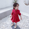 Autumn dress, small princess costume for elementary school students, western style, children's clothing, suitable for teen, long sleeve