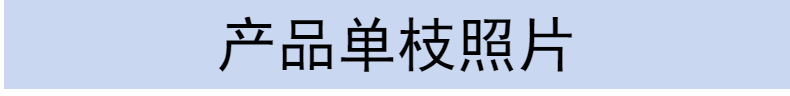 10头普罗旺斯薰衣草假花装饰家居装饰仿真植物盆栽绿植婚庆仿真花详情29