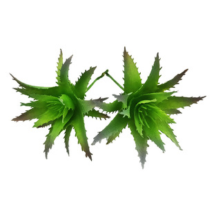 �������ֲ������С�J�C ��ֲ������滨DIY΢���^ �����bٻ�