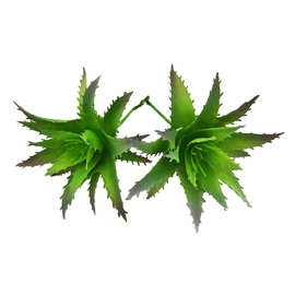 仿真多肉植物迷你小芦荟 单植多肉仿真花DIY微景观 仿真装饰假花