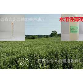 厂家直销天然植物蒸馏提取化妆日化用品香精香料冰凉水溶性薄荷油