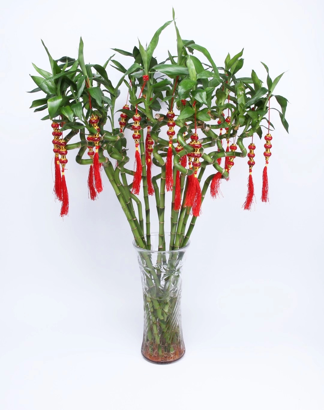 2020 11.20号连串5