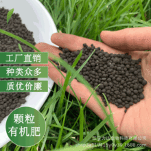 顆粒生物有機肥生產價格 山西肥料批發 果樹土壤改良有機肥