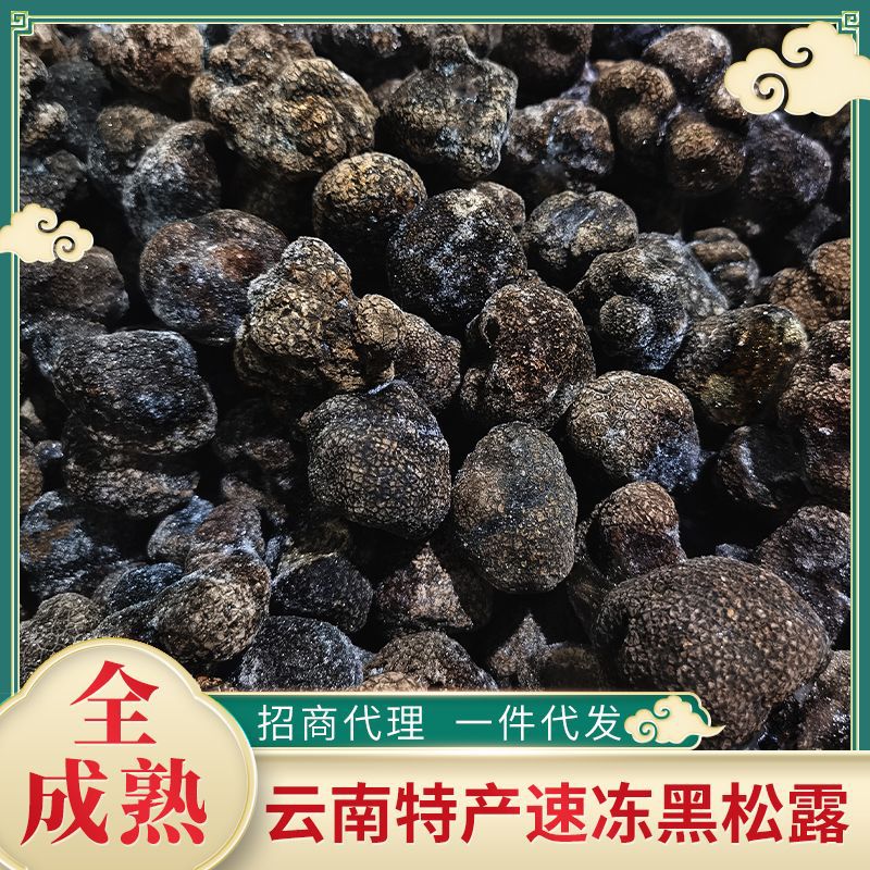 速冻黑松露全成熟冰鲜散装500g块菌猪拱菌云南特产云南冰鲜速冻