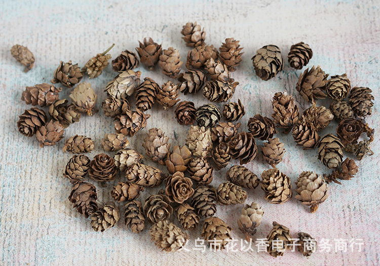 迷你小松果—义乌花以香