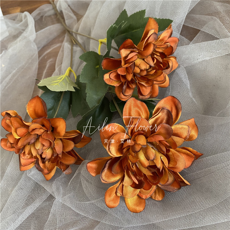 3 autumn colorful flowers