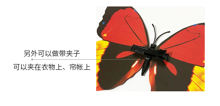 3D立体蝴蝶