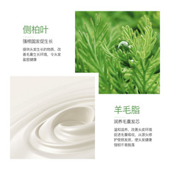 (VHA) One Branch Spring Anti-Hair Loss Shampoo for Hair Growth and Protection, Softening and Oil Control Wholesale