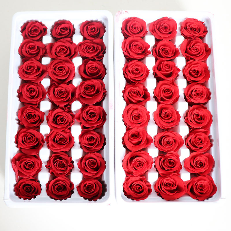 Preserved Fresh Flower Rose Grade a 2-3cm Flower Preservation Rose Bouquet Gift Box DIY Handmade Flower Factory Direct Supply