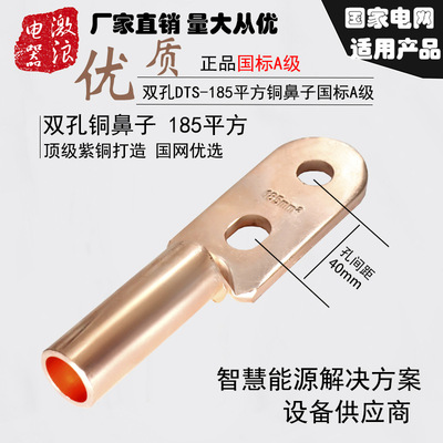 雙孔銅鼻子銅接頭DTS35平方到500平方純紫銅堵油型壓線耳國標A級