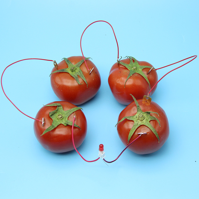 DIY自制水果电池发电实验 锌铜片土豆科技小制作发明仪器物理材料