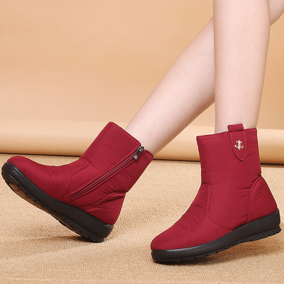 Snow boots winter Plush thickening 2020 new pattern fashion Women's Shoes soft sole waterproof Women's Boots Cotton-padded shoes Bootie