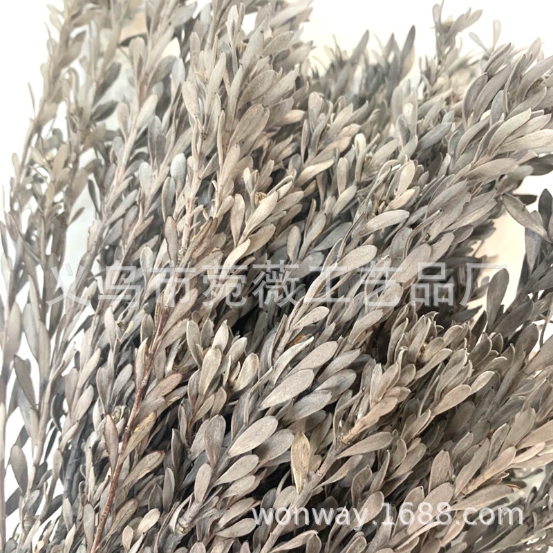 微信图片_20200423120923