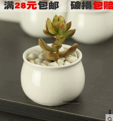 Белый керамический мясистый горшок Круглый живот Цветочный бак Белый мясистый керамический маленький цветочный горшок Проницаемый P208