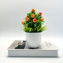 ����Gֲ��������܇����С���Թ����辰�҃ȼҾ��b[�O����[��