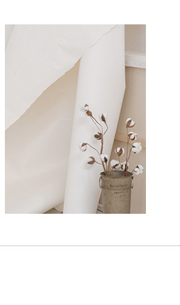 Long-Lasting Plated Gold Plating Process 925 Sterling Silver No Inlaid Lock