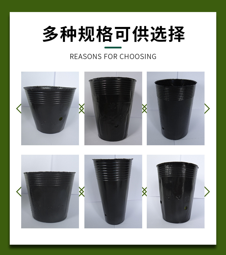 Details_06.jpg