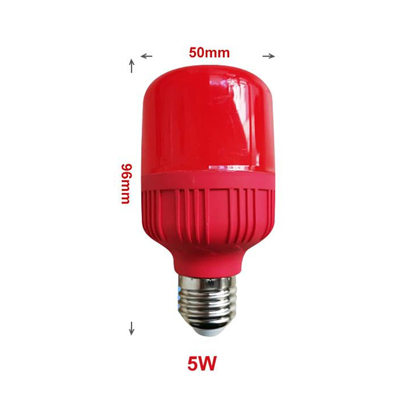 Aluminum Bright Decorative Globe Colored Lights