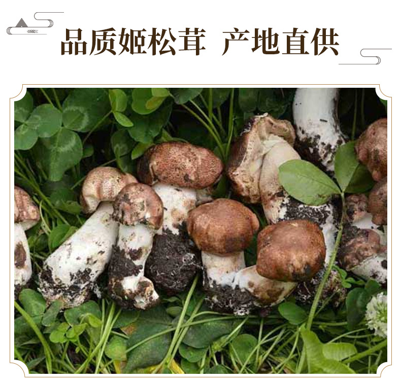 Dried Agaricus Blazei Mushroom 500g Yunnan Sun Dried Culinary Fungi for Soups and Stir Fry key features