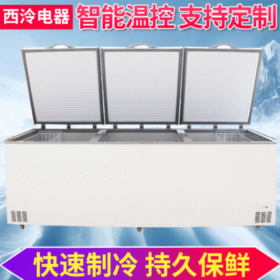 Aerospace Large Freezer commercial horizontal supermarket Hypothermia Fresh keeping Freezing Freezer Cold storage