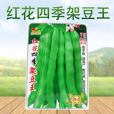 Safflower Four seasons Pole bean Vegetable seeds adaptability Commodity Vegetable seeds