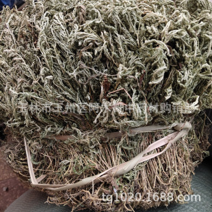 ʯ�ϰ� ��ș�� ��G���� ���[�� �؂Ȱ� ���_�� ������ ��؛����