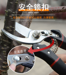 花剪園藝剪刀家用花草盆栽修花園林果樹修剪樹枝日本剪枝修枝剪