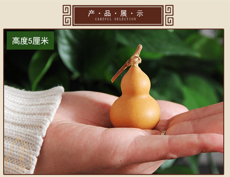 普通葫芦_06.jpg