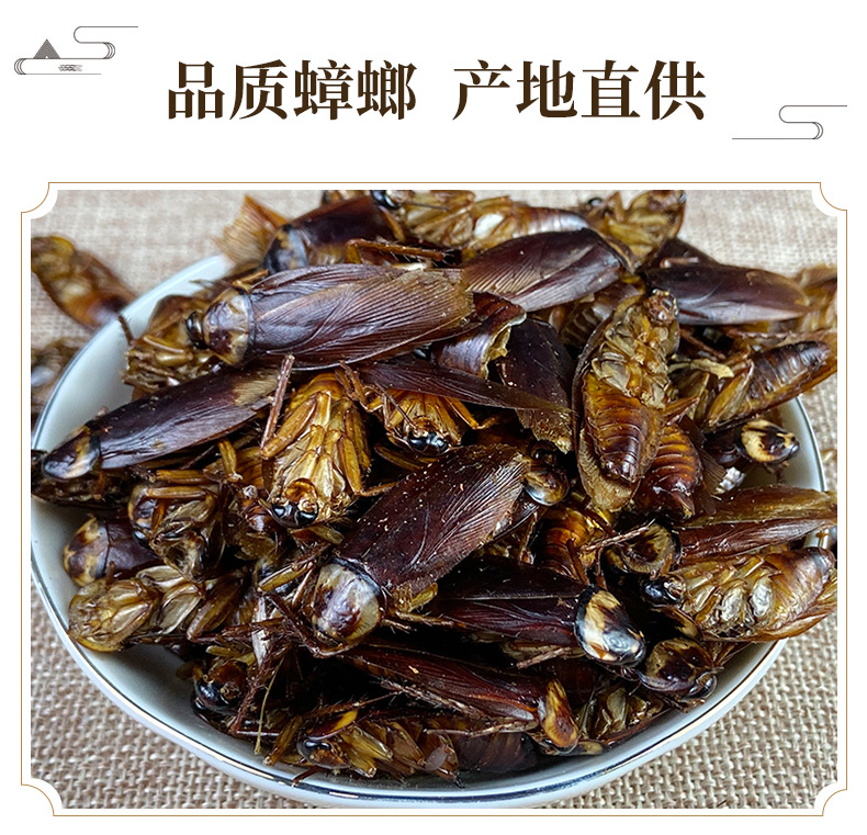 Dried Cockroach Whole Insect Yan Lang 500g Traditional Chinese Herbal Material Sun Dried key features