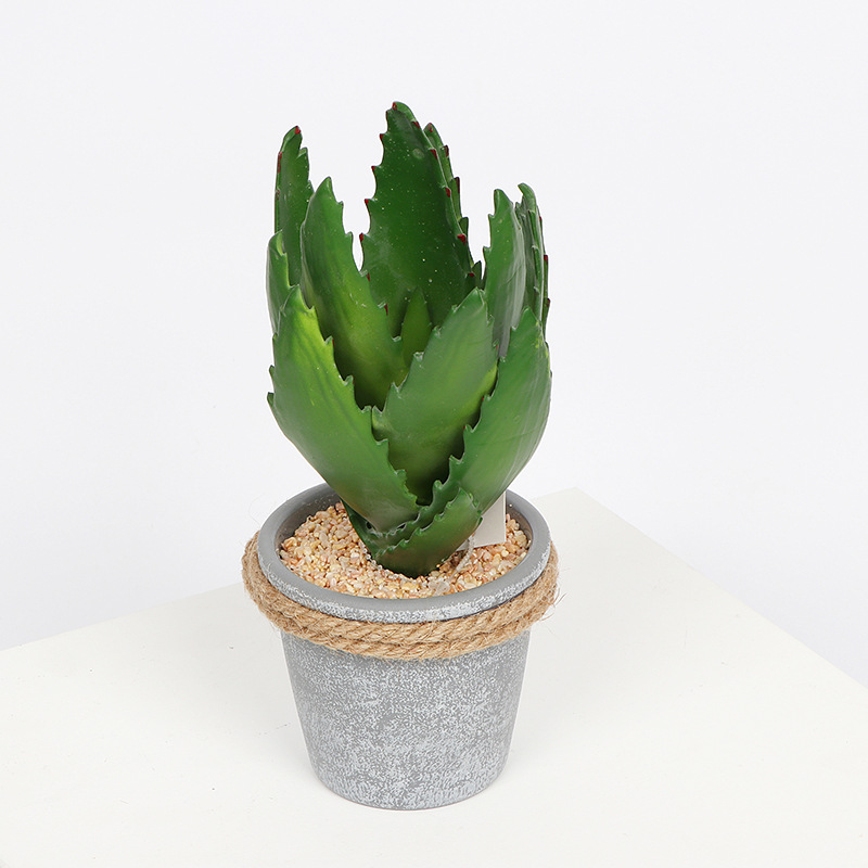 Nordic style simulation of succulent aloe plant resin