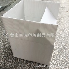供应硬币箱 银行硬币钙塑箱 塑料包装盒 Pe瓦楞板箱 尺寸可定制