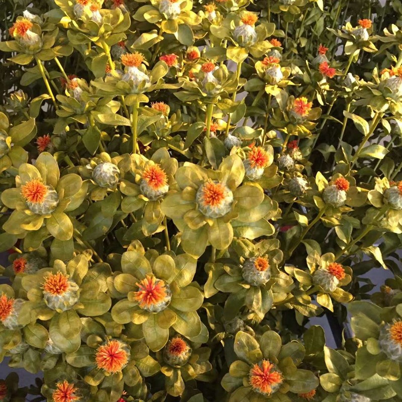 微信图片_20200209013006