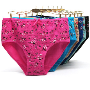 Foreign trade cross-border e-commerce Dunhuang women's plus size Mummy pants yunmengni printed cotton large version women's underwear