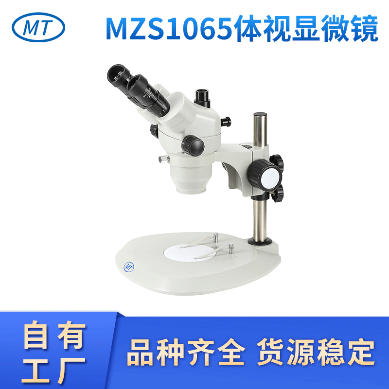 现货迈特MZS1065体视显微镜 65倍连续变倍高清晰体视显微镜