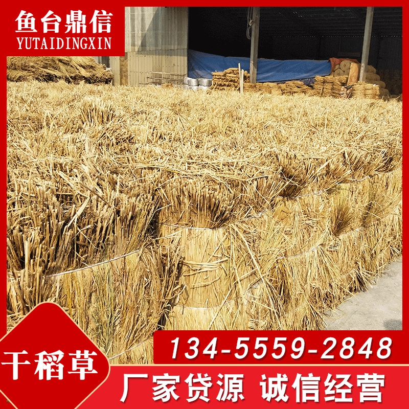 Оптовая продажа сухой соломы для разведения теплых и прессованных тюков соломы можно выращивать в сельском хозяйстве