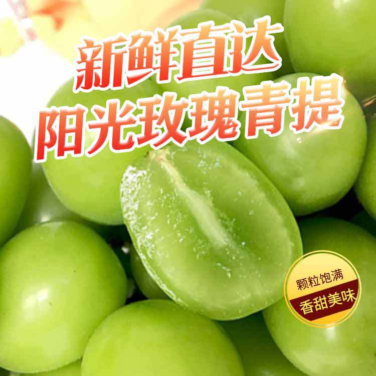 Wang Sunshine Rose Season fresh grape Qingti pregnant woman Season fruit No trace On behalf of 4 pounds loaded