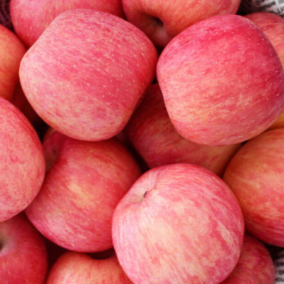 【产地直销】山西红富士苹果新鲜应季水果脆甜多汁当季整箱批代发