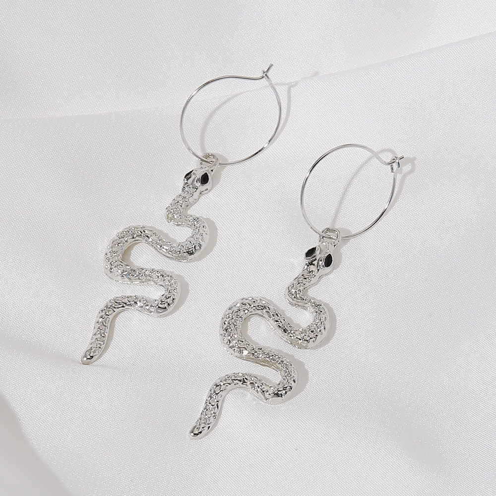 Retro Snake-shaped Long Earrings Wholesale Nihaojewelry display picture 2